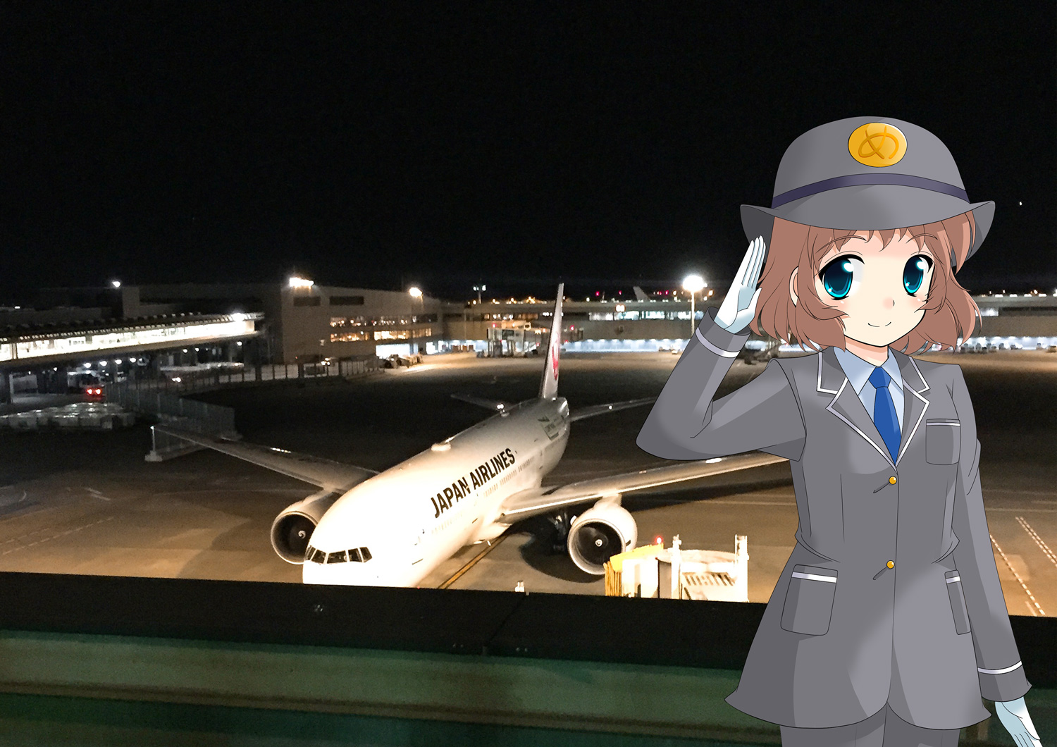 めっとこ JAL 飛行機 成田空港 空 旅
